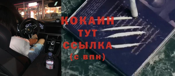 ПСИЛОЦИБИНОВЫЕ ГРИБЫ Арсеньев