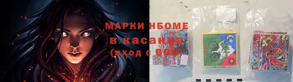 ПСИЛОЦИБИНОВЫЕ ГРИБЫ Арсеньев