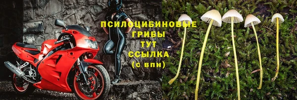 ПСИЛОЦИБИНОВЫЕ ГРИБЫ Арсеньев