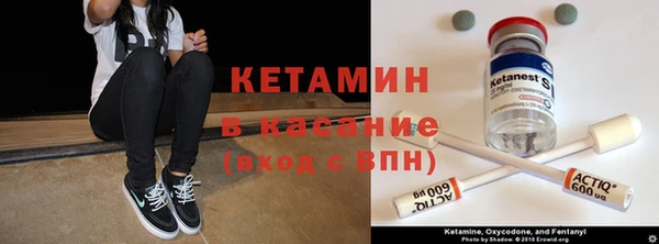 ПСИЛОЦИБИНОВЫЕ ГРИБЫ Арсеньев