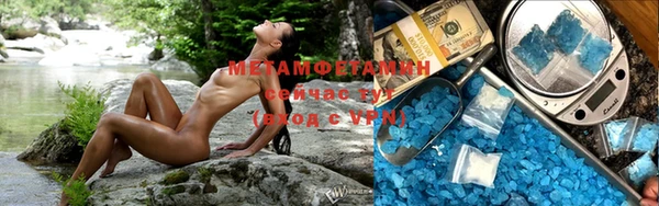 ПСИЛОЦИБИНОВЫЕ ГРИБЫ Арсеньев