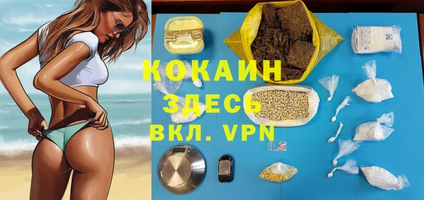 ПСИЛОЦИБИНОВЫЕ ГРИБЫ Арсеньев