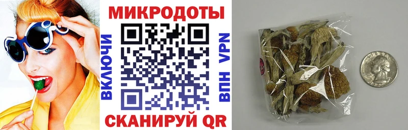 ОМГ ОМГ вход Гудермес Галлюциногенные грибы Psilocybe